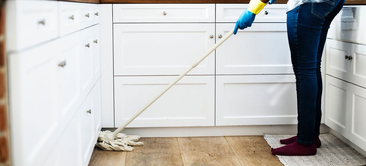 House cleaning services